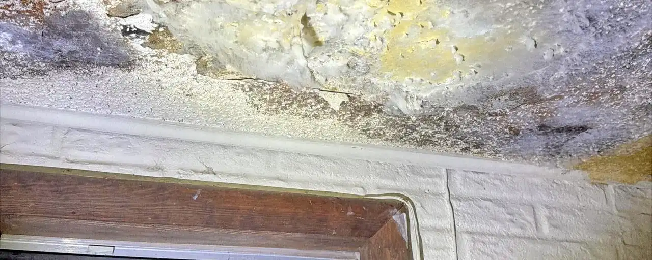 Mold growth spreading across a water-stained ceiling above a window