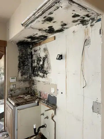 Black mold covering the drywall and ceiling soffit above a gutted sink cabinet