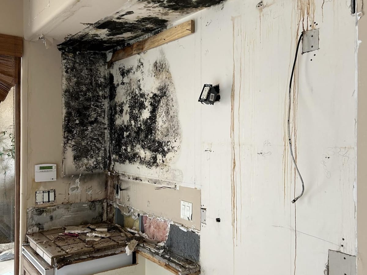 Mold on drywall next to a water heater, before remediation